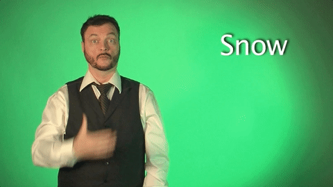 sign language snow GIF by Sign with Robert