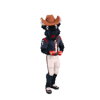 Dance Snapping Sticker by Houston Texans