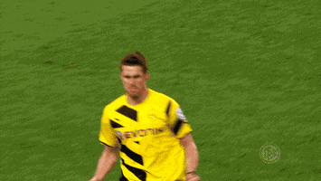 sebastian kehl bundesliga GIF by Borussia Dortmund