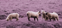 Opposing Head To Head GIF by DEEPSYSTEM
