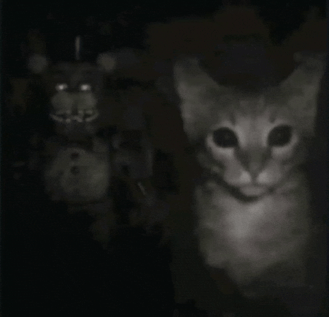 Five Nights At Freddys F GIF