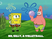 season 6 porous pockets GIF by SpongeBob SquarePants