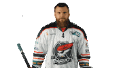 Hokej Pirati Sticker by Piráti Chomutov
