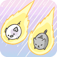 On My Way Cat GIF