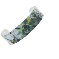 Bracelet Succulents Sticker by Wear The Wonder