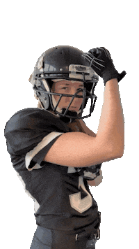 PragueBlackCats americanfootball pbc pbp tacklefootball Sticker