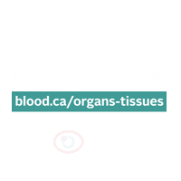 Organ Donation Sticker by Canadian Blood Services