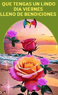 Un Dia Sol GIF by Murcianys LLC