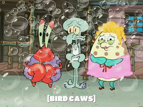 season 5 GIF by SpongeBob SquarePants