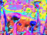 art colors GIF by MFD