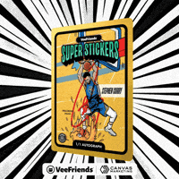 Collect 1 Of 1 GIF by VeeFriends