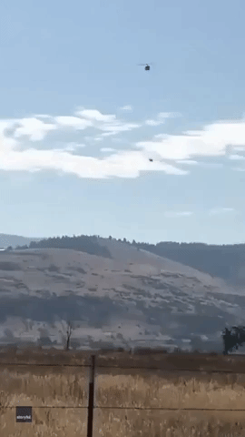 Good Samaritans Unite to Airlift Injured Horse From Oregon Hiking Area