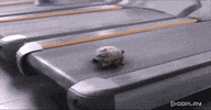 GIF by Demic