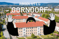 PvtSteiner absolut saalfeld absolutes pvtsteiner GIF