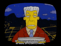 Season 1 GIF by The Simpsons