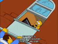 homer simpson GIF