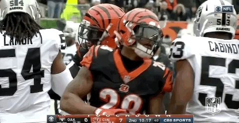2018 Nfl Football GIF by NFL
