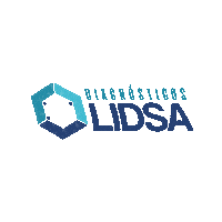 lidsahn lidsa lidsahn diagnosticoslidsa diagnosticoslidsahn Sticker