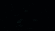 amazon mom GIF