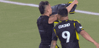 King Celebrate GIF by Major League Soccer