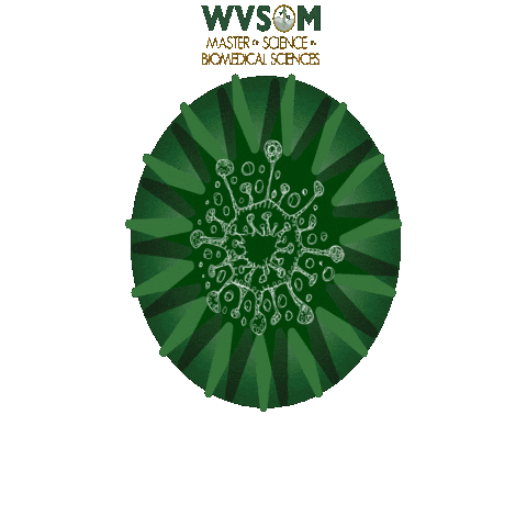 Wvsomgrad Sticker by West Virginia School of Osteopathic Medicine