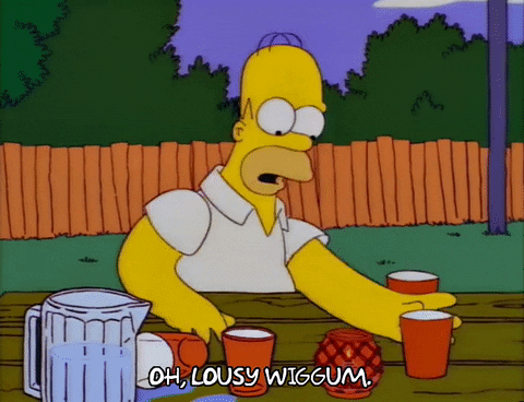 homer simpson GIF