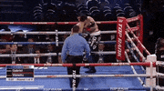 toprank fight boxing fighting espn GIF