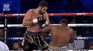 toprank fight boxing fighting espn GIF