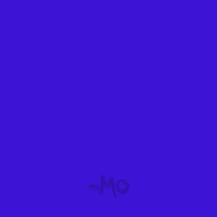 Girl Go GIF by Motion fashion