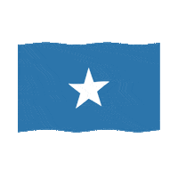 pnhonduras bandera honduras unidad partidonacional Sticker