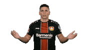 come on wtf Sticker by Bundesliga