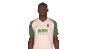 Football Reaction Sticker by Bundesliga