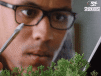 Nervous I Got This GIF by TheSparkhouse