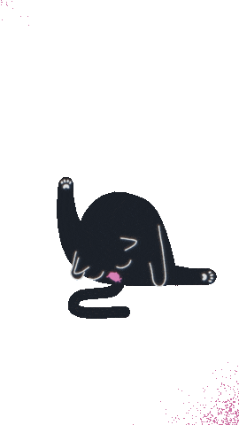 Cat Sticker