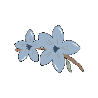 Costa Rica Flower Sticker by Vajra Jahra Villas & Retreat Center