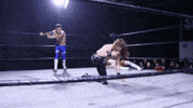SHWAWrestling dance kick bruno ddt GIF