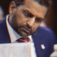 Deep Fried Fbi GIF by Respective