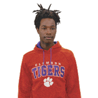 College Football Sticker by DICK'S Sporting Goods