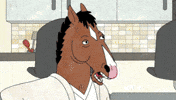 bojack horseman GIF