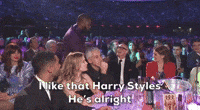 I Like Harry Styles