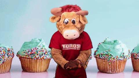 Birthday Celebrate GIF by CSUDHTeddyToro