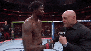 Mixed Martial Arts Sport GIF by UFC