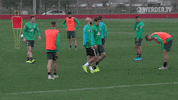 Training Mallorca GIF by SV Werder Bremen