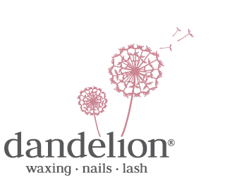 Dandelion-ID giphyupload dandelion dandelionid lashesbydandelion Sticker