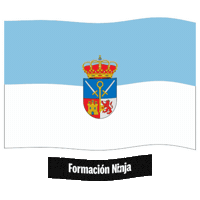 Bandera Andalucia Sticker by Formación Ninja