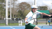 men's tennis wave GIF by GreenWave
