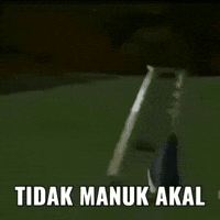 Griffingalls penguin madagaskar manuk akal tidak manuk akal GIF