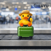 Flying Not Available GIF by Ohayu eSIM