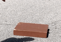 CleverCanineDogTraining  GIF