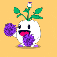 You Can Do It Good Luck GIF by Magic Eden